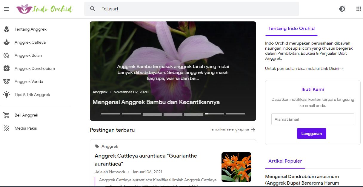 Website Media dan Jualan Anggrek Indo Orchid